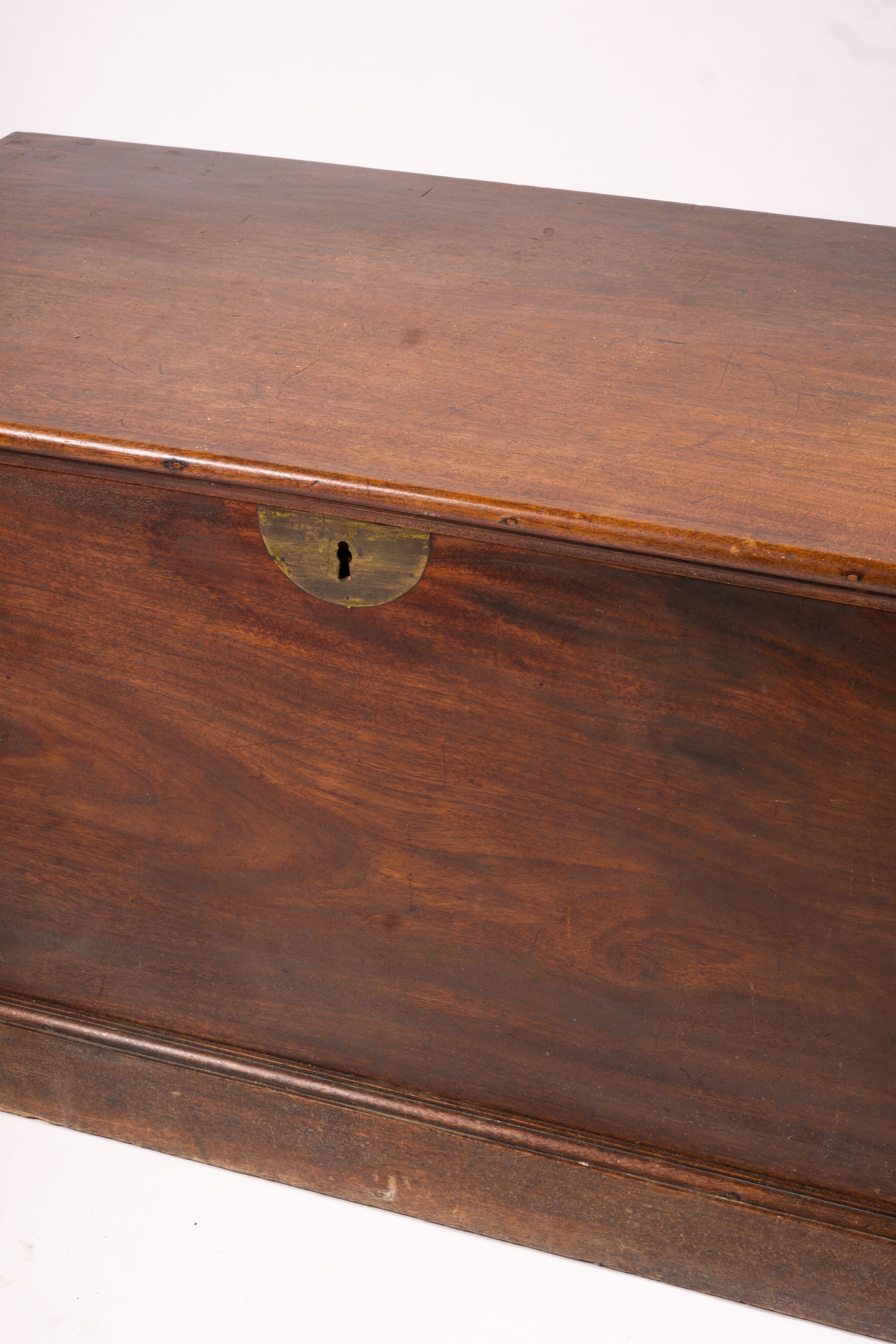 A large 19th century mahogany trunk with brass side handles, length 125cm, width 63cm, height 62cm